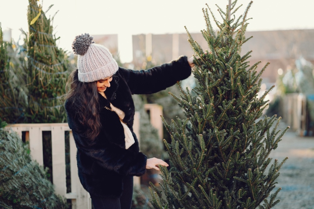 Hoe Kies Ik De Juiste Kerstboom TuinWereld