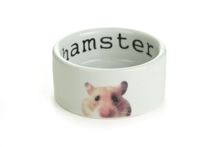 Beeztees Snapshot - Hamstervoerbak - Keramiek - 7,5x4 cm