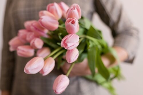 Bloemen Wijchen Tuinwereld