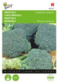 Buzzy® Broccoli Calabrese natalino, groen - afbeelding 1