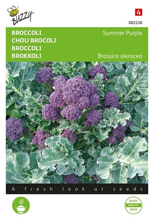 Buzzy® Broccoli Summer Purple - afbeelding 1