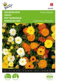 Buzzy® Calendula, Goudsbloem Fiesta Gitana gemengd - afbeelding 1