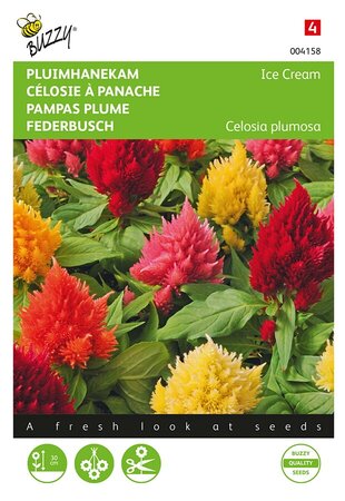 Buzzy® Celosia, Pluimhanekam Ice Cream gemengd - afbeelding 1