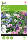 Buzzy® Centaurea, Korenbloem dubbelbloemig gemengd - afbeelding 1