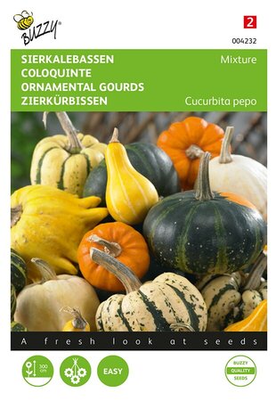 Buzzy® Cucurbita, Sierkalebas klein- en groot gemengd - afbeelding 1