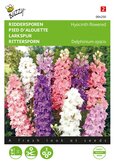 Buzzy® Delphinium, Ridderspoor gemengd - afbeelding 1