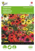 Buzzy® Echinacea, Zonnehoed Cheyenne Spirit - afbeelding 1