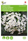 Buzzy® Hangpetunia White Ramblin - afbeelding 1