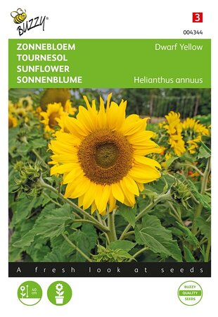 Buzzy® Helianthus, lage Zonnebloem Yellow - afbeelding 1