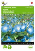 Buzzy® Ipomoea, Klimmende winde Clark’s Blue - afbeelding 1