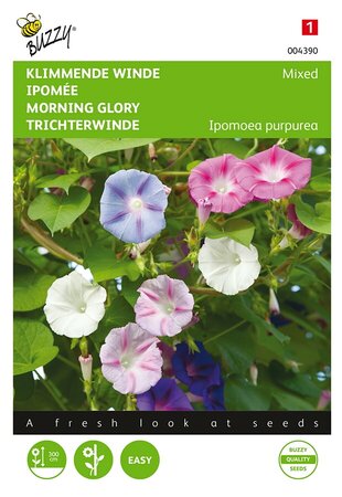 Buzzy® Ipomoea, Klimmende winde gemengd - afbeelding 1