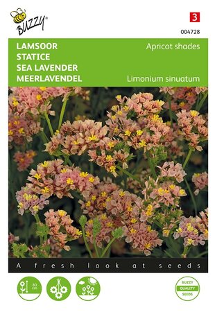 Buzzy® Limonium, Lamsoor Apricot shades - afbeelding 1