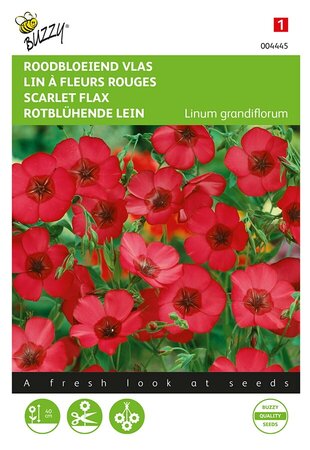 Buzzy® Linum, roodbloeiende Vlas - afbeelding 1