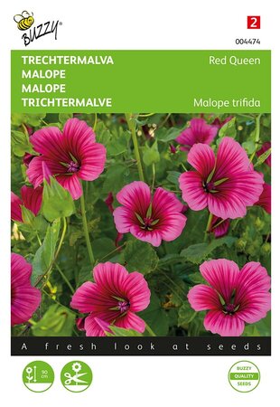 Buzzy® Malope, Trechtermalva Red Queen - afbeelding 1