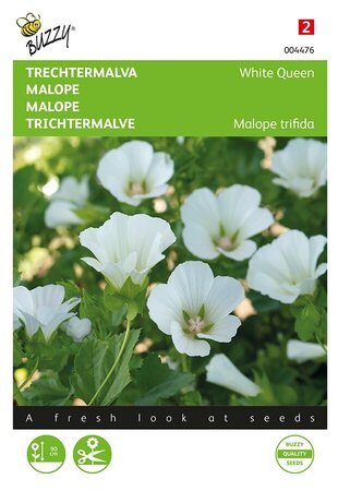 Buzzy® Malope, Trechtermalva White Queen - afbeelding 1