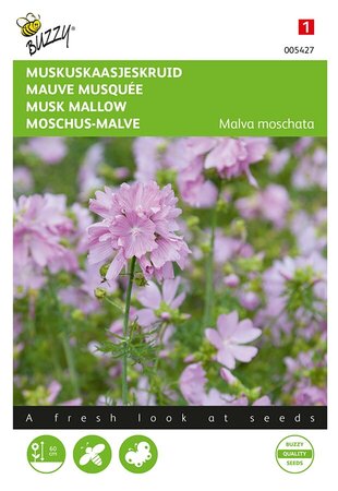 Buzzy® Malva, Muskuskaasjeskruid roze - afbeelding 1