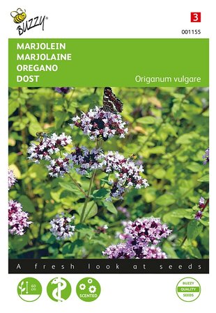 Buzzy® Marjolein - Oregano - afbeelding 1