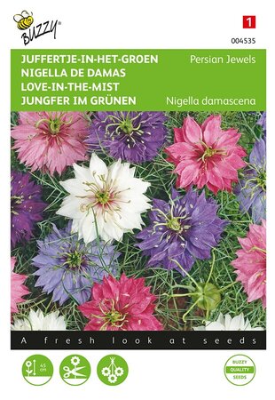 Buzzy® Nigella, Juffertje-in-het-groen Persian Jewels gem. - afbeelding 1