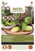 Buzzy® Patio Veggies, Romeinse Mini-sla (gemengd) - afbeelding 1