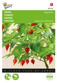 Buzzy® Peper Biquinho - afbeelding 1