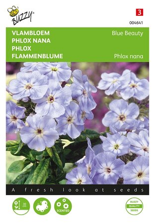 Buzzy® Phlox, Vlambloem Blue Beauty - afbeelding 1