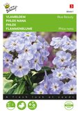 Buzzy® Phlox, Vlambloem Blue Beauty - afbeelding 1