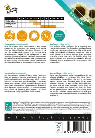 Buzzy® Sunny Flowers, Zonnebloem White Moon F1 - afbeelding 2
