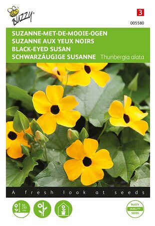 Buzzy® Thunbergia, Suzanne-met-de-mooie-ogen - afbeelding 1