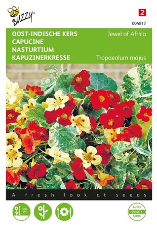 Buzzy® Tropaeolum, Oost-Indische kers Jewel of Africa - afbeelding 1