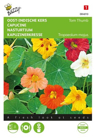 Buzzy® Tropaeolum, Oost-Indische kers Tom Thumb gemengd - afbeelding 1