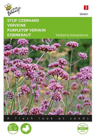 Buzzy® Verbena, Stijf Ijzerhard - afbeelding 1