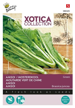 Buzzy® Xotica Groene Amsoi of Mosterdkool - afbeelding 1