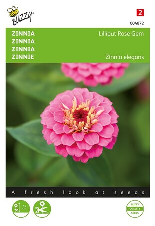 Buzzy® Zinnia Lilliput Rose Gem - afbeelding 1