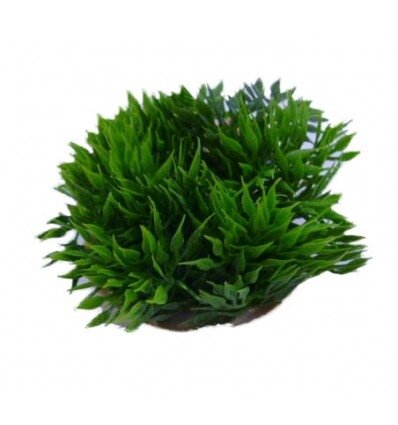 Sydeco kunststofplant Green Moss 7 cm (349720)