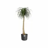 Elho b.for soft rond 16cm - afbeelding 3