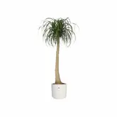 Elho b.for soft rond 18cm - afbeelding 3