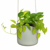 Elho B.for Swing 18 cm Groen - afbeelding 4