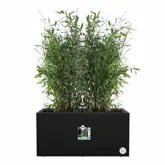 Elho Bloempot Vivo Next Lang 80cm zwart - afbeelding 3