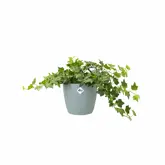 Elho Brussels Rond 18 - Groen - Ø 18 x H 17 cm - Binnen - 100% gerecycled - afbeelding 3