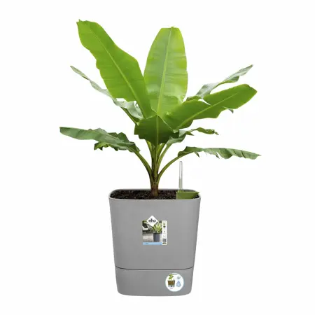 Elho Bloempot Greensense Aqua Care vierkant 38cm grijs - afbeelding 2