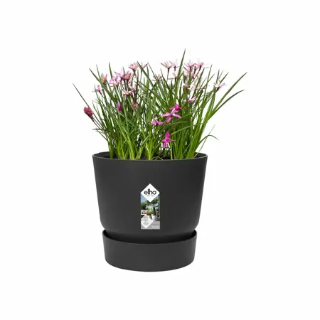 Elho greenville rond 25cm - afbeelding 3