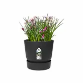 Elho greenville rond 25cm - afbeelding 3