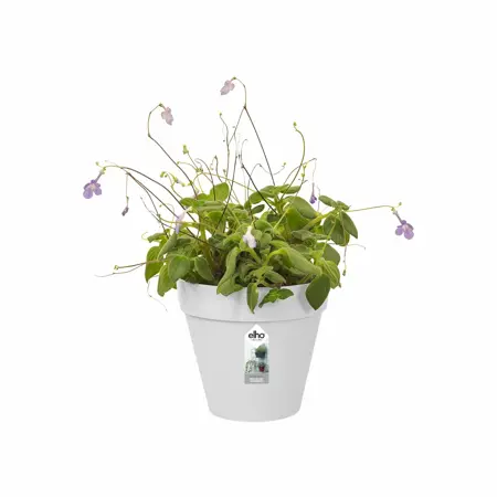 Elho loft urban green wall single 15cm - afbeelding 3