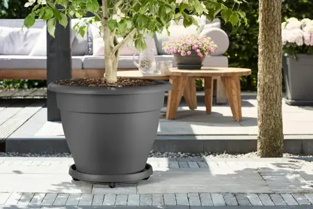 Elho universele planttaxi 30cm - afbeelding 2