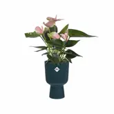 Elho Bloempot Vibes Fold Coupe 14cm blauw - afbeelding 4