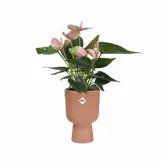 Elho Bloempot Vibes Fold Coupe 14cm roze - afbeelding 2