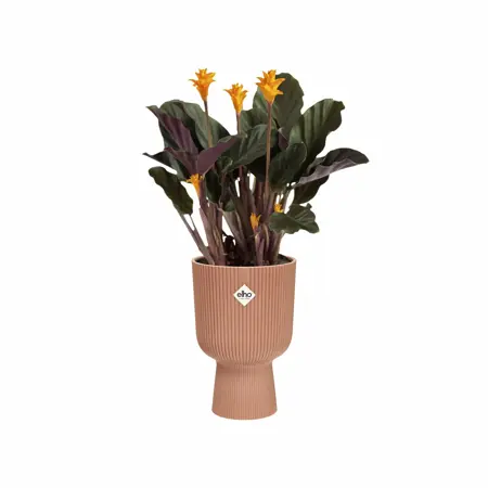 Elho Bloempot Vibes Fold Coupe 14cm roze - afbeelding 3