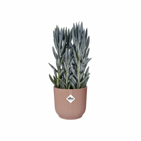 Elho Bloempot Vibes Fold rond 25cm roze - afbeelding 4