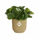 Elho Bloempot Vibes Fold rond Mini 11cm geel - afbeelding 2