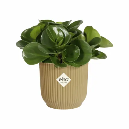 Elho Bloempot Vibes Fold rond Mini 7cm geel - afbeelding 2